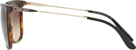 �������������� ���� Giorgio Armani AR8080 504913 Top Black Havana