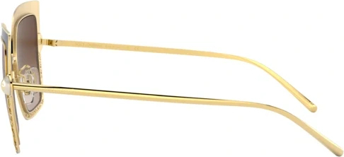 Солнцезащитные очки Dolce & Gabbana DG2251H 132013 Gold/brown