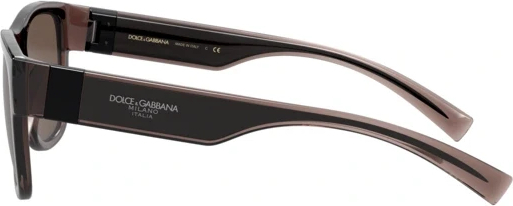   Dolce & Gabbana DG6132 325973 Transparent Brown/black