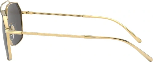 �������������� ���� Dolce & Gabbana DG2250 126887 Gold/matte Black