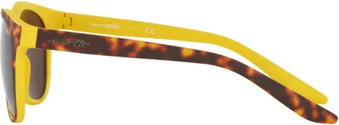 �������������� ���� Arnette Go Time AN4227 239273 Matte Havana Top On Yellow