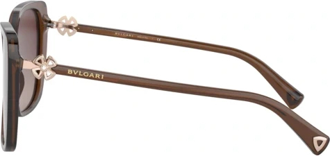 Солнцезащитные очки Bvlgari BV8225B 5482E2 Transparent Brown