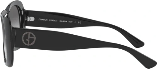 Солнцезащитные очки Giorgio Armani AR8132 500111 Black