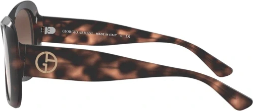 Солнцезащитные очки Giorgio Armani AR8132 573413 Striped Brown