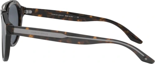 Солнцезащитные очки Giorgio Armani AR8129 502687 Havana