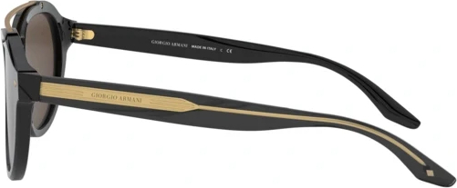 Солнцезащитные очки Giorgio Armani AR8129 500173 Nero