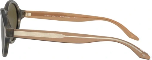 Солнцезащитные очки Giorgio Armani AR8130 577573 Striped Brown