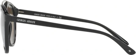 Солнцезащитные очки Giorgio Armani AR8083 50175A Black