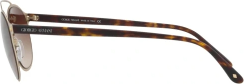 Солнцезащитные очки Giorgio Armani AR6041 300213 Matte Pale Gold