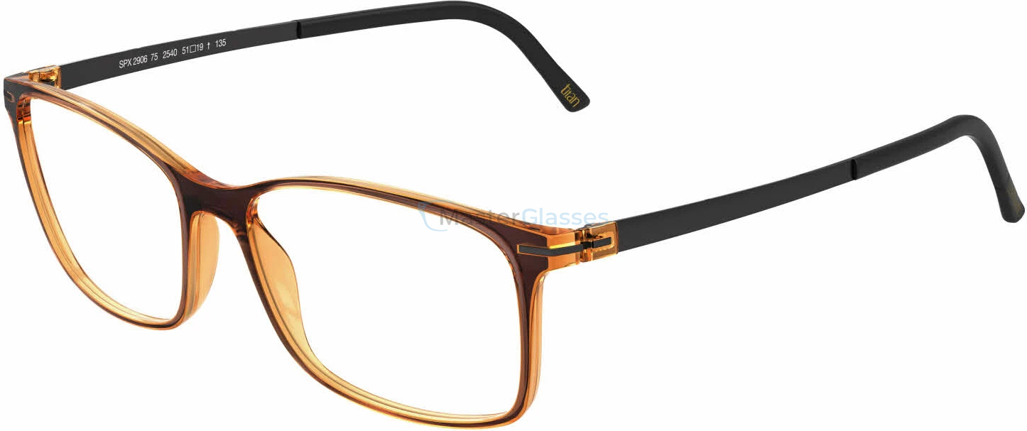 ������ Silhouette 2905 2540 55/16 Titan Accent