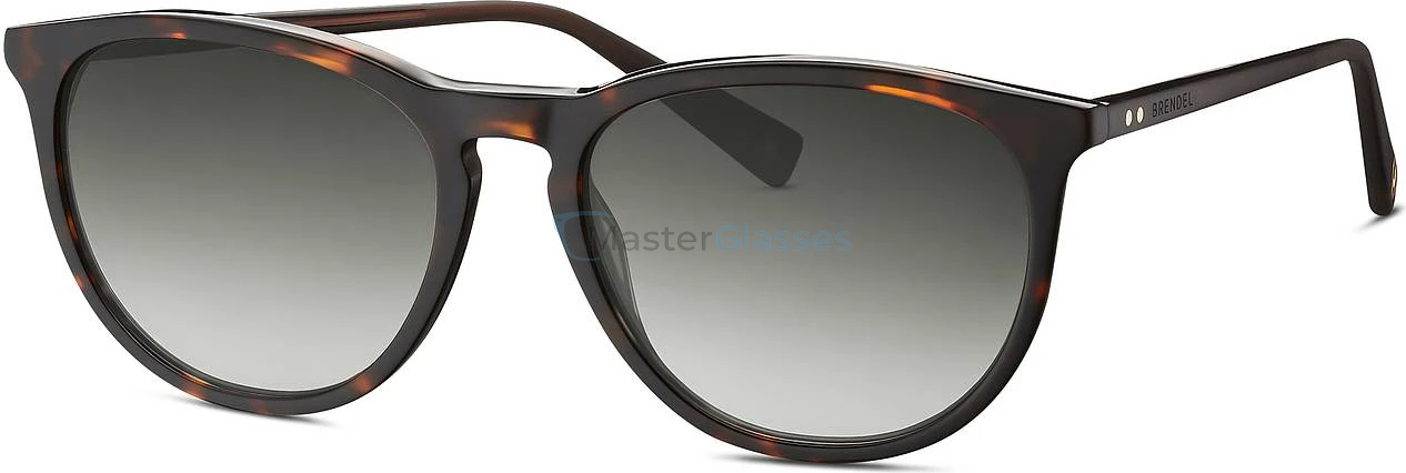 Солнцезащитные очки BRENDEL Eschenbach 906144-61