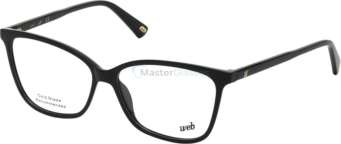  Web Eyewear WE 5321 001 55