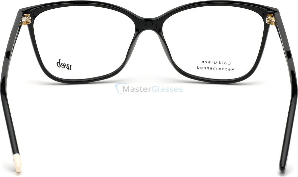 Оправа Web Eyewear WE 5321 001 55