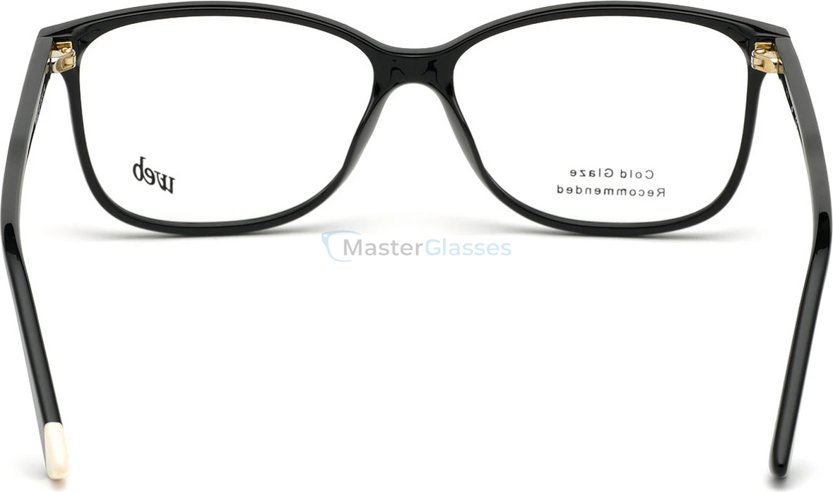 Оправа Web Eyewear WE 5322 001 55