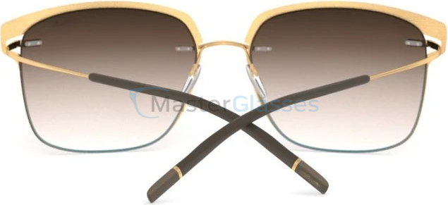 �������������� ���� Silhouette 8718 7530 Titan Accent Shades