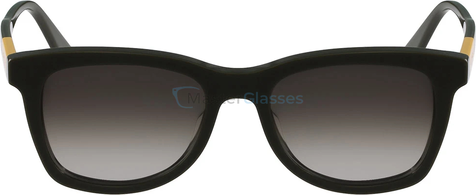 Солнцезащитные очки Etro ET632s-317