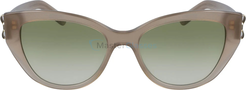 Солнцезащитные очки Salvatore Ferragamo 969s-294