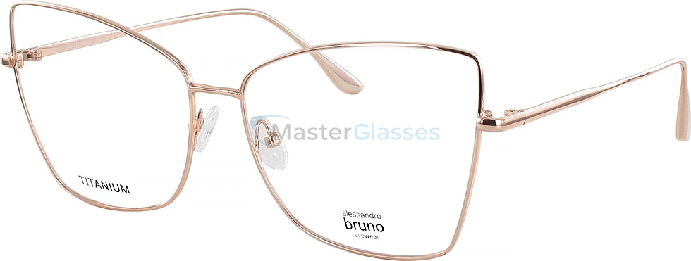 Оправа Alessandro Bruno 1003-03g