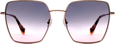 Солнцезащитные очки GIGI Studios ROSE 6442/6