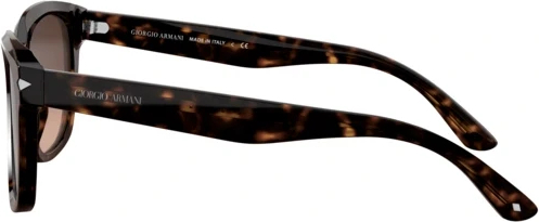 Солнцезащитные очки Giorgio Armani AR8134 502613 Havana