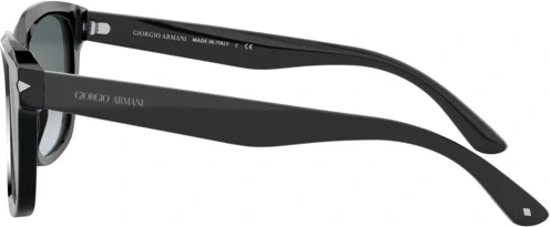 �������������� ���� Giorgio Armani AR8134 500111 Black