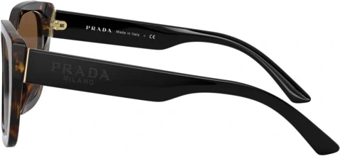   Prada PR 24XS 2AU6S1 Havana