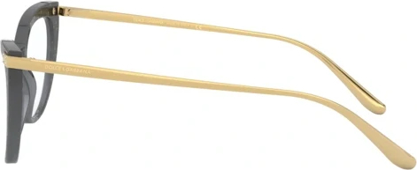 Оправа Dolce & Gabbana DG3329 3210 Transparent Black Pois Gold