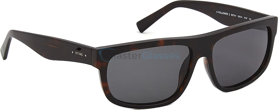 Солнцезащитные очки Sting 317 1AY