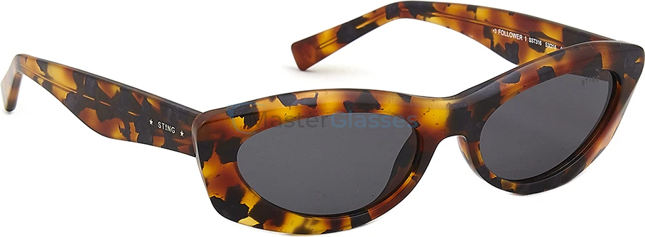 �������������� ���� Sting 316 AGG