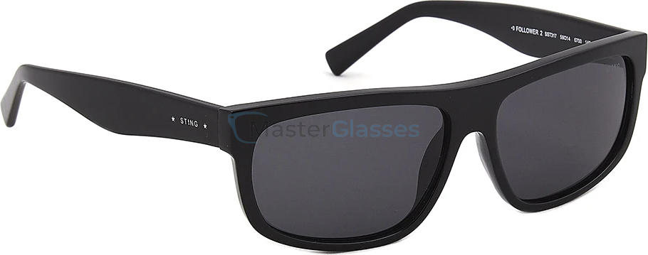 Солнцезащитные очки Sting 317 700