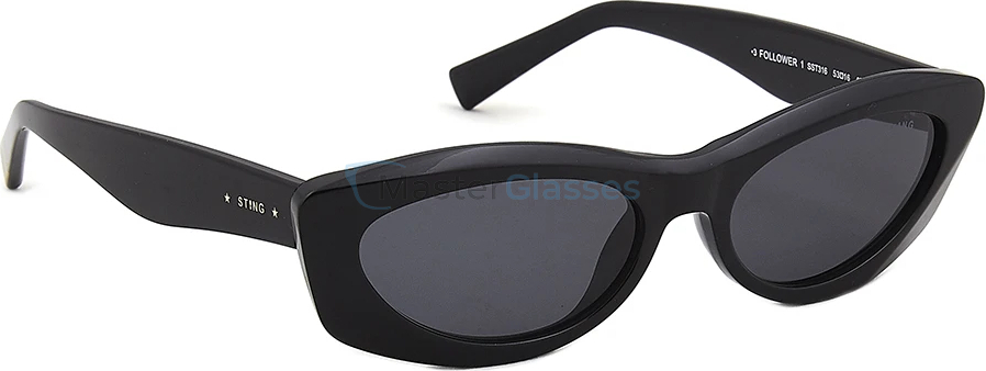 Солнцезащитные очки Sting 316 700