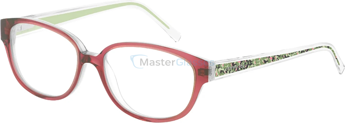 Оправа Sting 574 P53