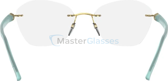 Оправа Silhouette 5506 DM 5545 54/19 Inspire