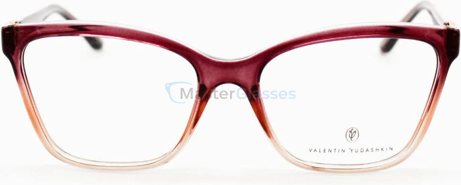 ������ Valentin Yudashkin VY 489 A695