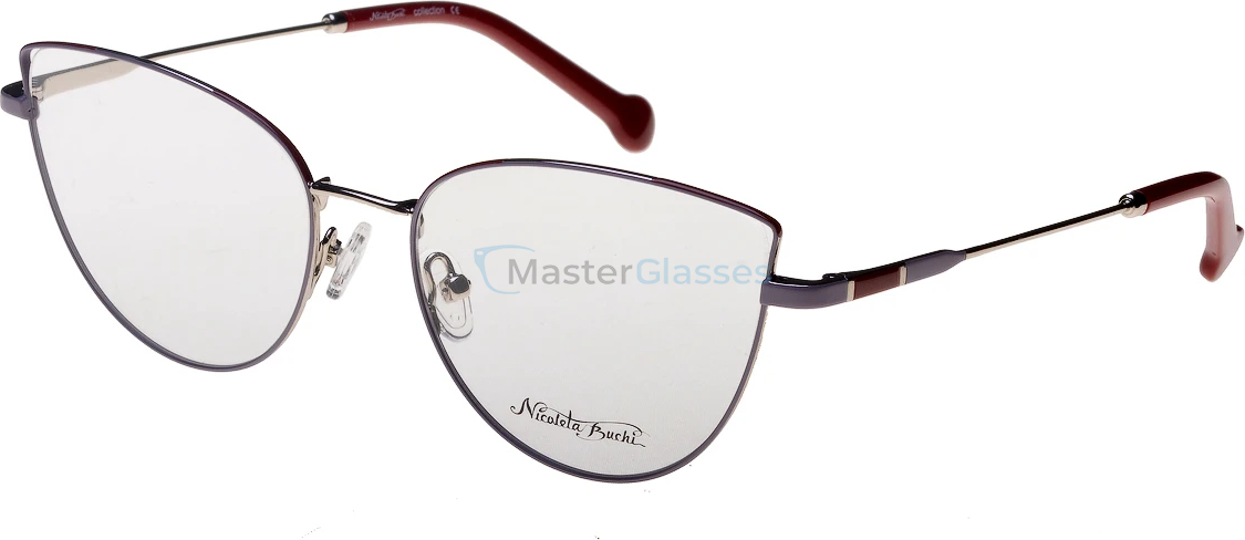 ������ Nicoleta Buchi 757 02 54-17-140