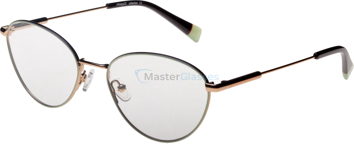 ������ Nicoleta Buchi 758 02 53-17-140