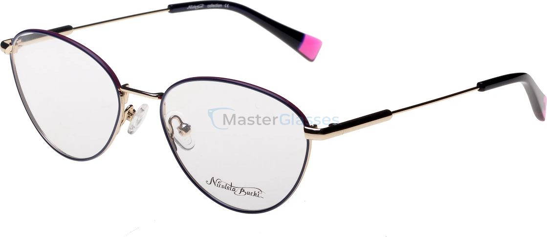 ������ Nicoleta Buchi 758 03 53-17-140