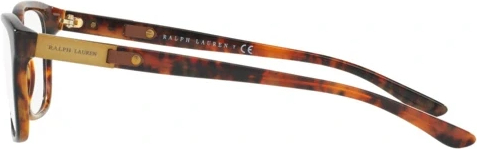 Оправа Ralph Lauren RL6159Q 5260 Top Black/havana Jl