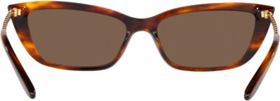 Солнцезащитные очки Ralph Lauren RL8173 500773 Stripped Havana