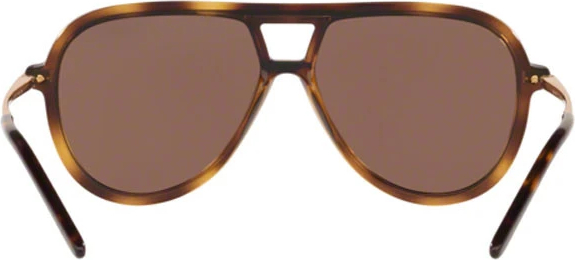 �������������� ���� Ralph Lauren RL8177 500373