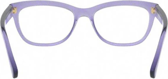 Оправа Ralph by Ralph Lauren RA7113 5805