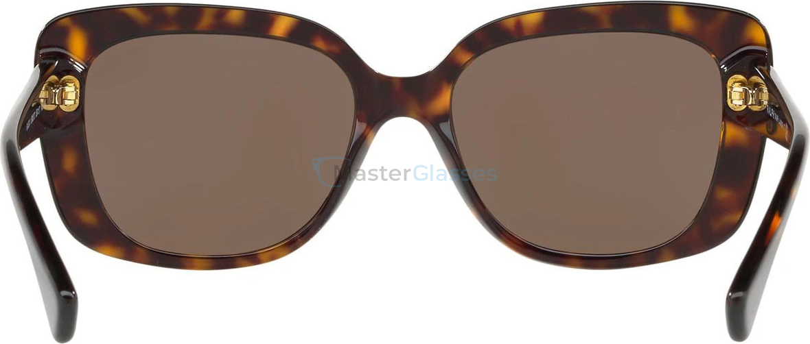   Ralph by Ralph Lauren RA5241 500373
