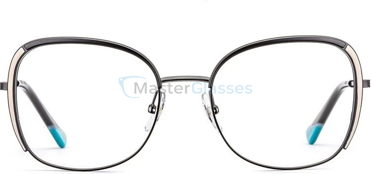 Оправа Etnia Barcelona 4 LIVENZ 53O BKWH