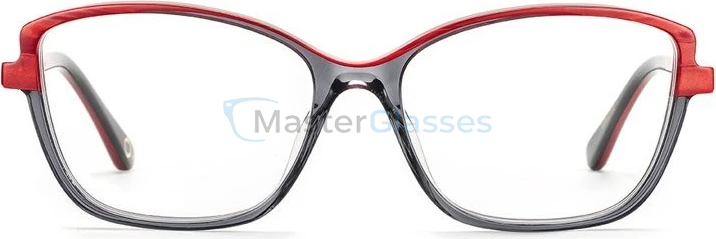Оправа Etnia Barcelona 5 CANAIM 54O RDBK