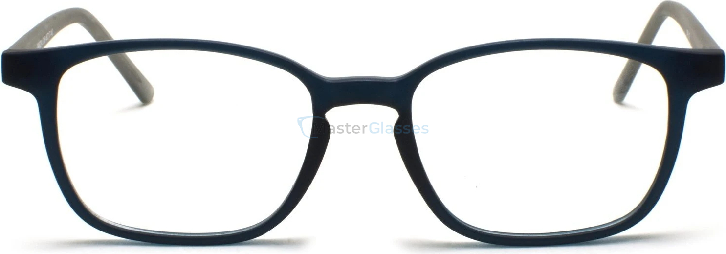 Оправа Opal OWII 234 C06