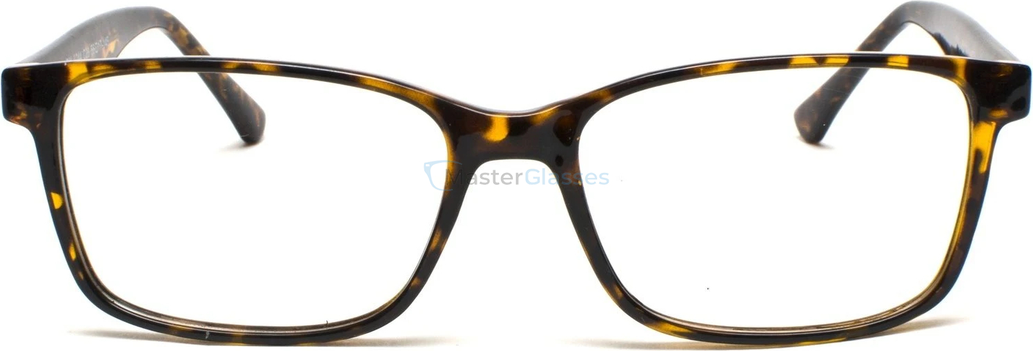 Оправа Opal OWII 244 C28