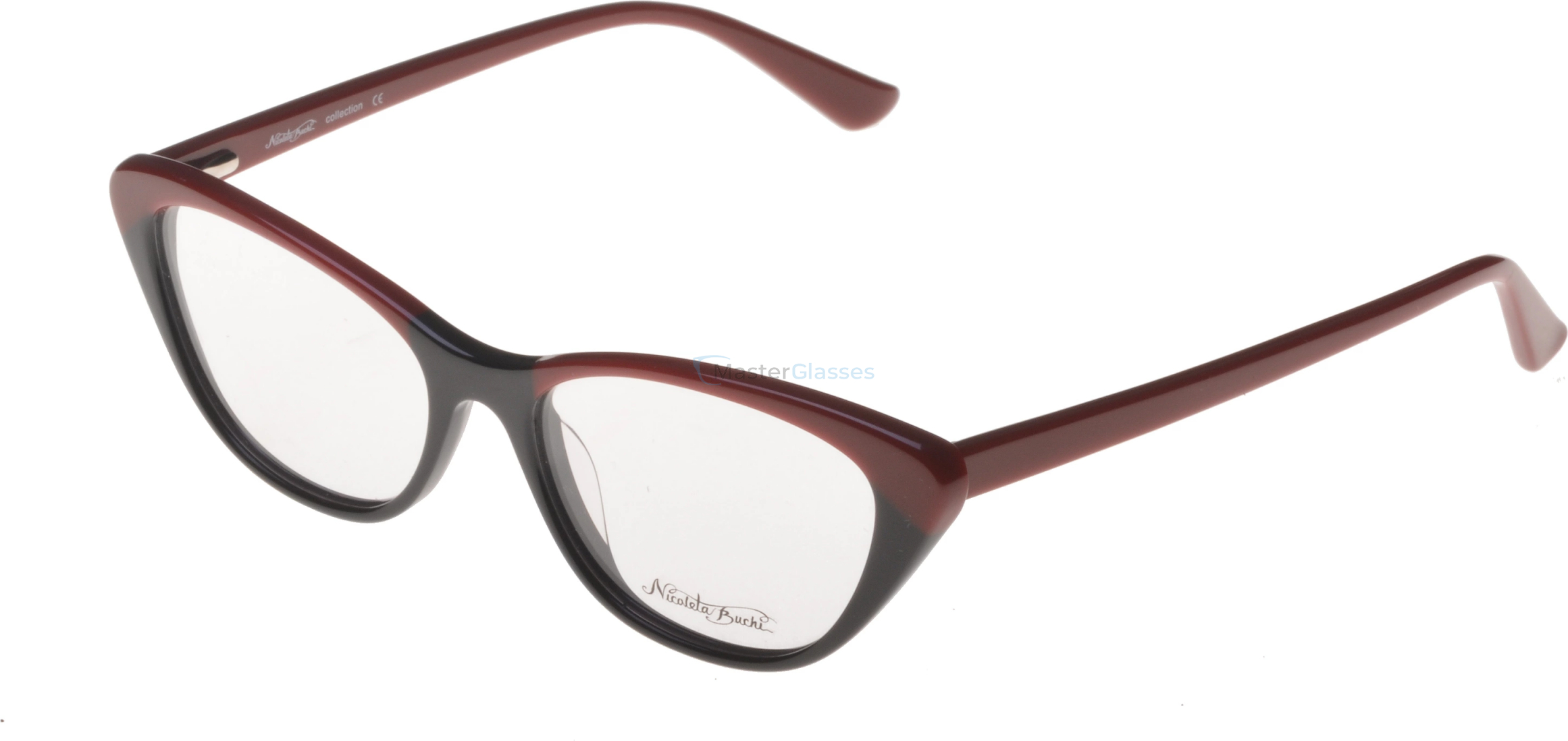 ������ Nicoleta Buchi 419 03