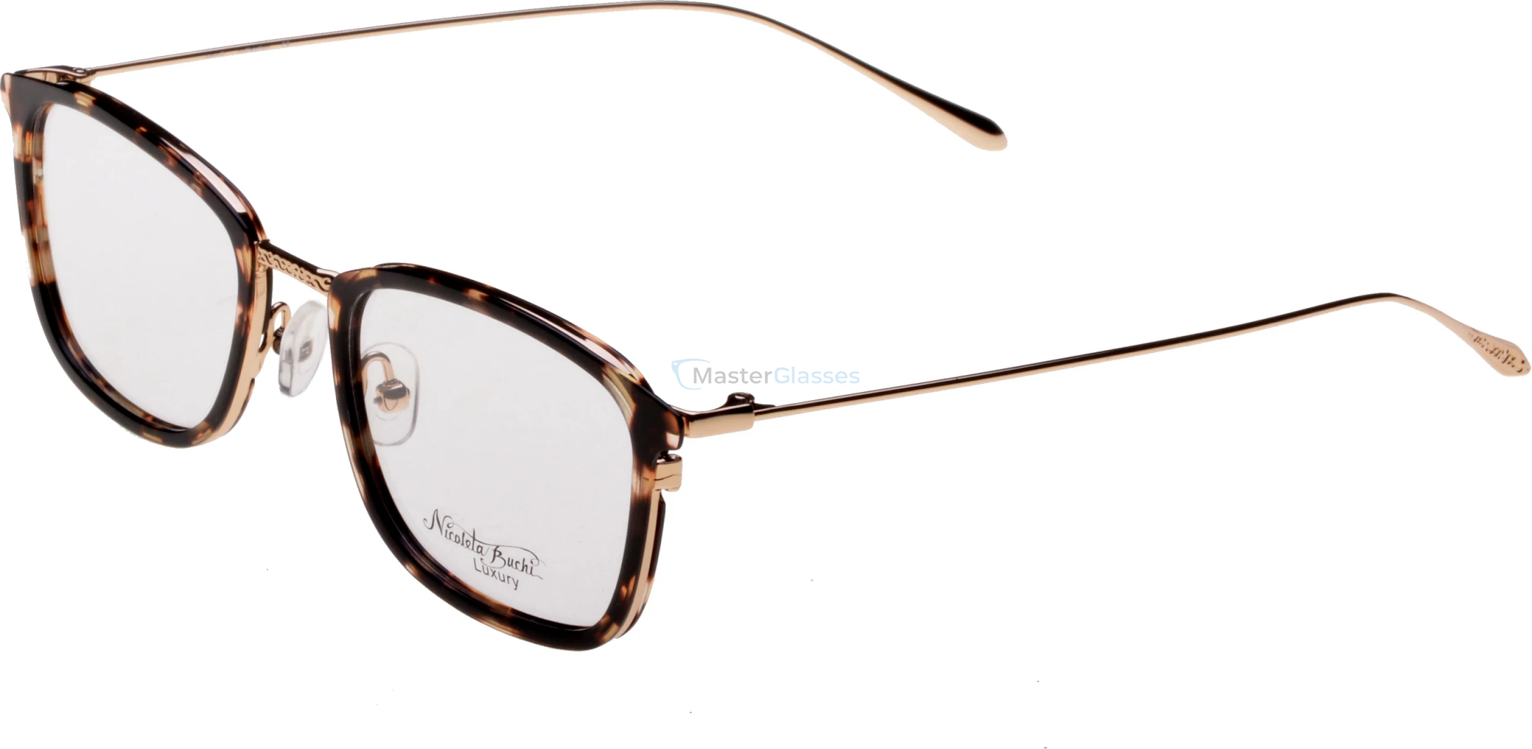  Nicoleta Buchi 534 03