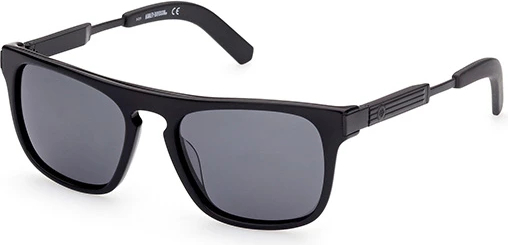 Солнцезащитные очки Harley-Davidson HD 1004X 01D 53