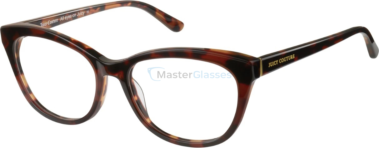 Оправа JUICY COUTURE JU 169 WR9